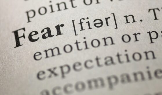 Dictionary definition of the word fear.