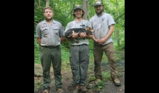 Dog saved by three trail crew members in New River Gorge National Park.