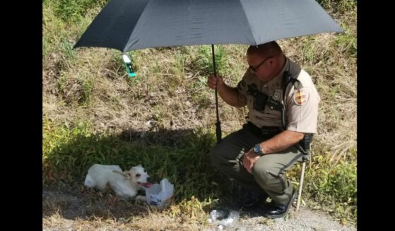 State trooper shields dog from the scorching sun with his umbrella.
