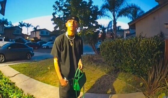Teen caught on Ring camera returning lost purse.
