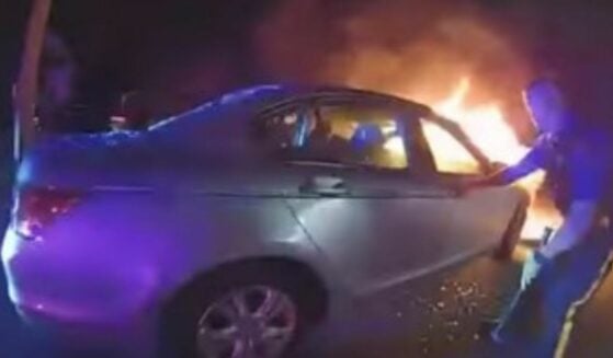 Officers pull panicked motorist from burning vehicle.