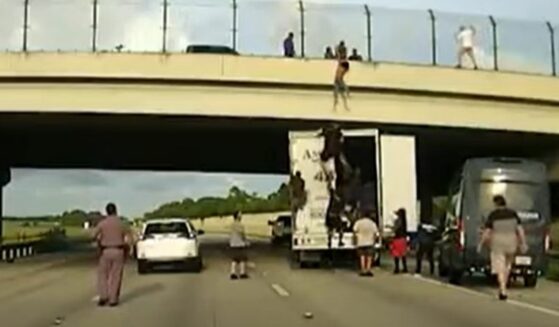 Good Samaritans join together to save a potential 1-75 bridge jumper.