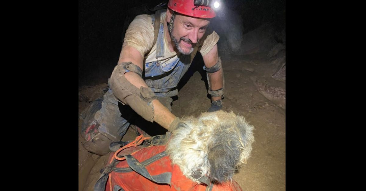 Senior Dog Missing for Two Months Found Deep within Cave