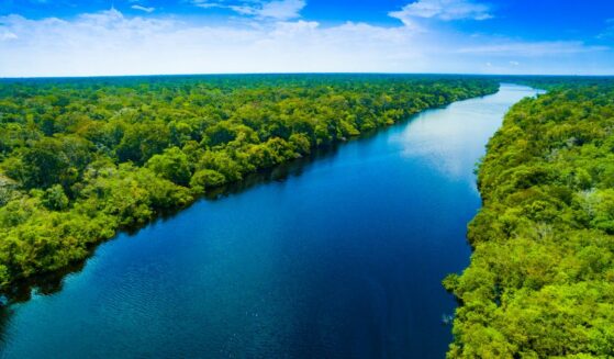 Amazon River in Brazil.