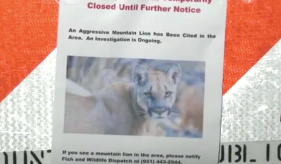 Screenshot from ABC 7 video of closure after reported mountain lion attack.
