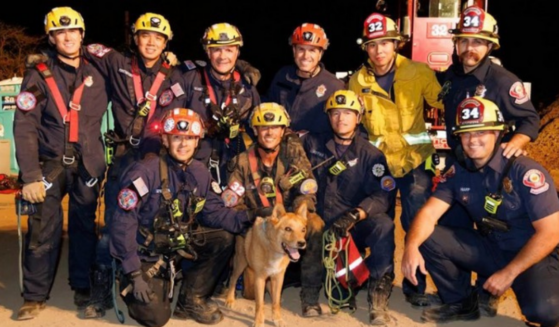 Photo from Pasadena Now: Firefighters Rescue Blind Dog that Fell Down 15-Foot Hole