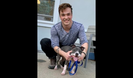 Dobby the puppy recovered, pictured with her new adoptive family
