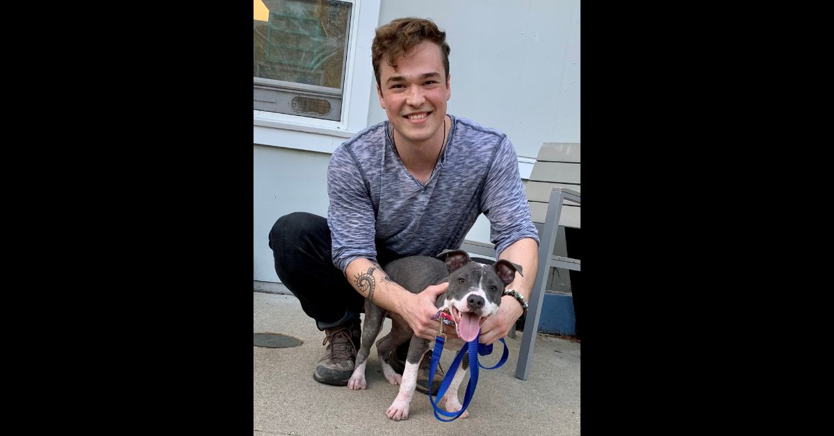 Emaciated Puppy Found in Middle of Busy Road