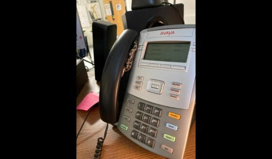 baby rat snake wrapped around classroom phone