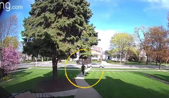 UPS driver sprints to save 4 year old from heavy package