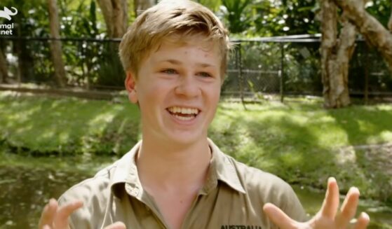 Robert Irwin