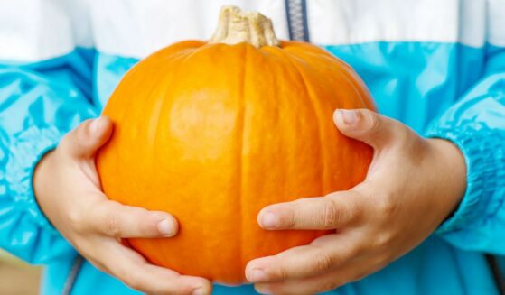 Child holding a pumpkin